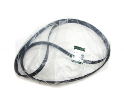 BELT JAGUAR C2P12808